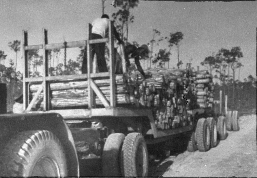 Transportation of cut lumber at Pine Ridge, 1950's